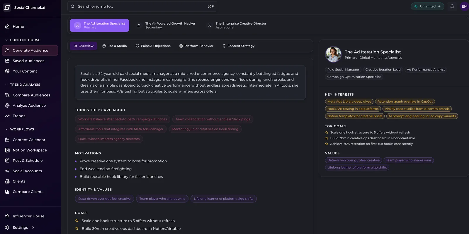 SocialChannel.ai persona builder showing a three-tier audience persona with motivations, goals, and key interests